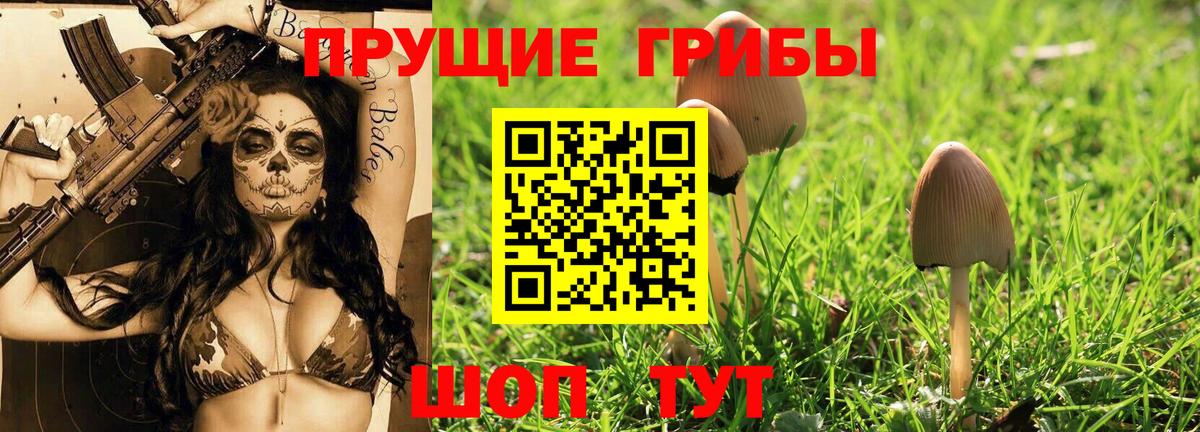 Белово  Псилоцибиновые грибы мицелий  Вход с VPN  Галлюциногенные грибы Psilocybe 